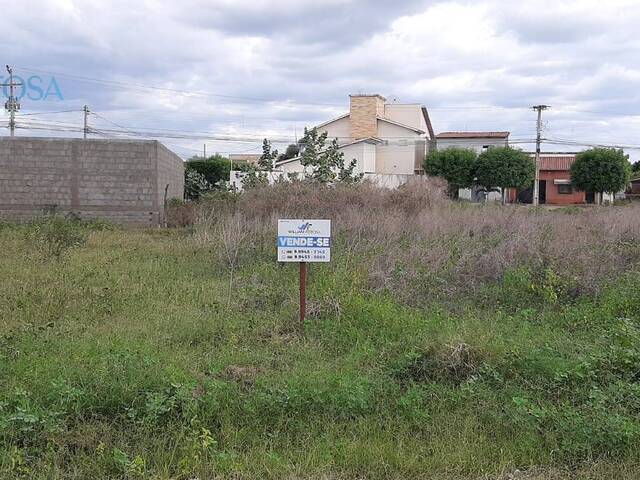 #6 - Terreno para Venda em Limoeiro do Norte - CE