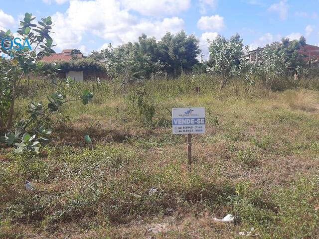#24 - Terreno para Venda em Limoeiro do Norte - CE
