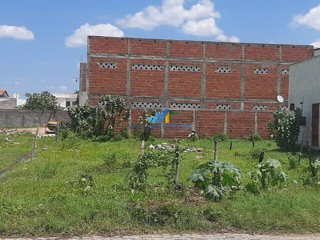 #48 - Terreno para Venda em Limoeiro do Norte - CE