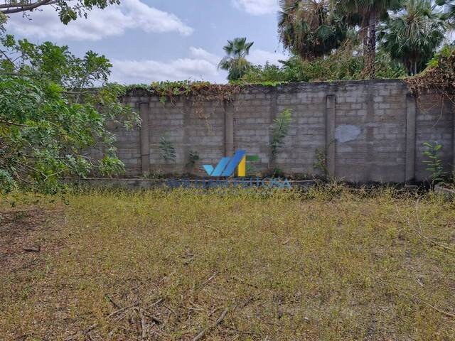 #79 - Área para Venda em Limoeiro do Norte - CE