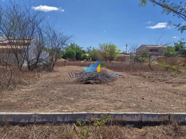 #114 - Área para Venda em Limoeiro do Norte - CE